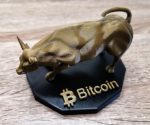 Bitcoin Crypto Bull